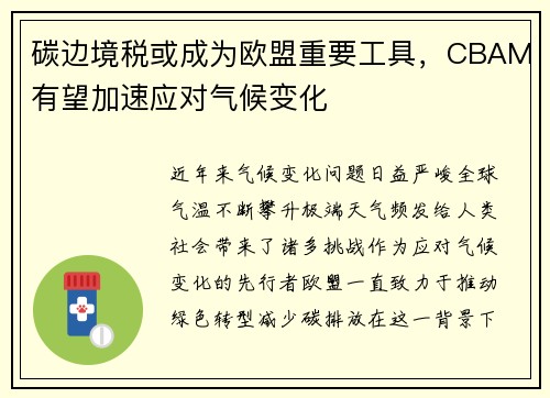 碳边境税或成为欧盟重要工具，CBAM有望加速应对气候变化