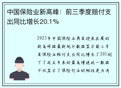 中国保险业新高峰：前三季度赔付支出同比增长20.1%