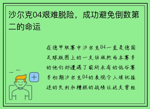 沙尔克04艰难脱险，成功避免倒数第二的命运