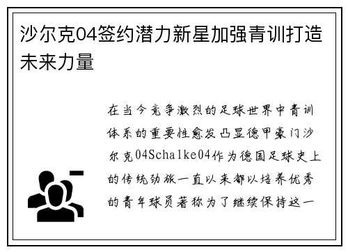 沙尔克04签约潜力新星加强青训打造未来力量