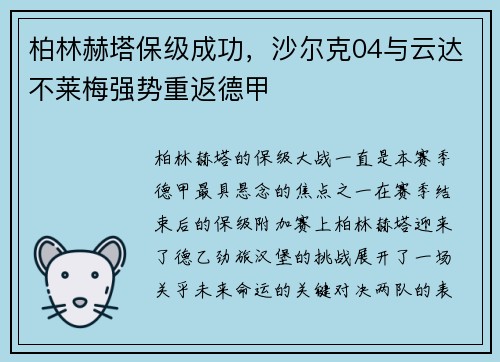 柏林赫塔保级成功，沙尔克04与云达不莱梅强势重返德甲